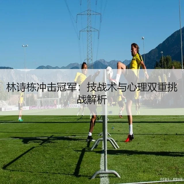 林诗栋冲击冠军：技战术与心理双重挑战解析